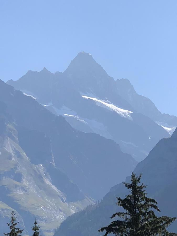 Romantisches Plätzchen in der Natur Grindelwald Exterior foto