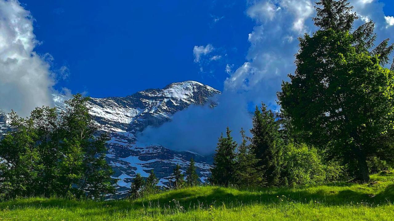 Romantisches Plätzchen in der Natur Grindelwald Exterior foto