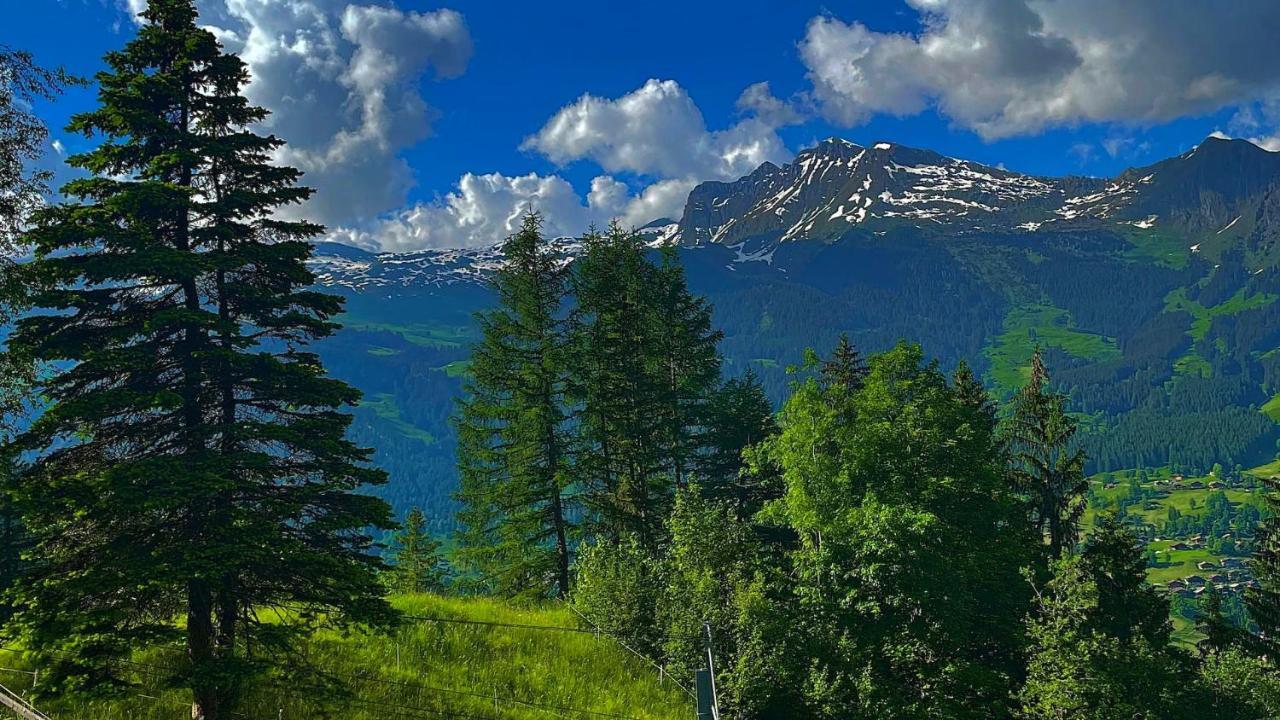 Romantisches Plätzchen in der Natur Grindelwald Exterior foto