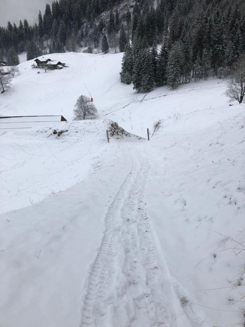 Romantisches Plätzchen in der Natur Grindelwald Exterior foto