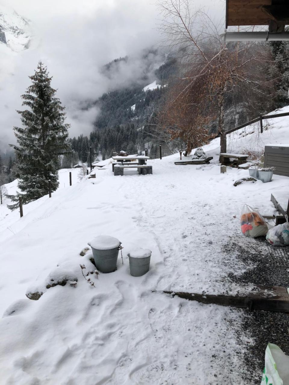 Romantisches Plätzchen in der Natur Grindelwald Exterior foto